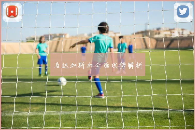 马达加斯加全面攻势解析