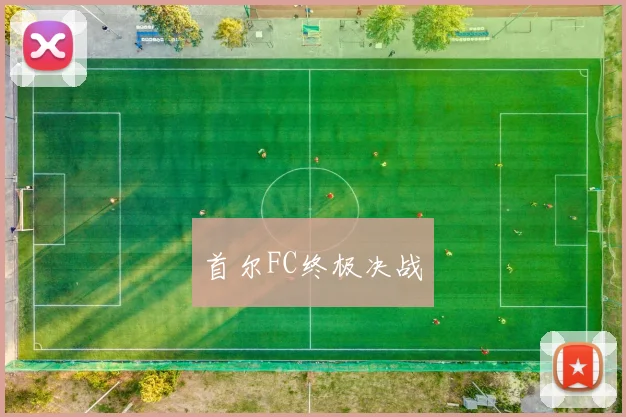 首尔FC终极决战