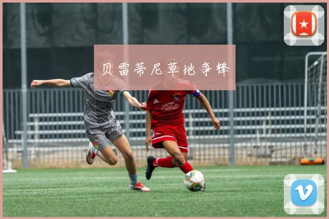 贝雷蒂尼草地争锋