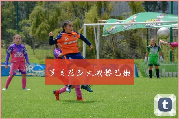 罗马尼亚大战黎巴嫩