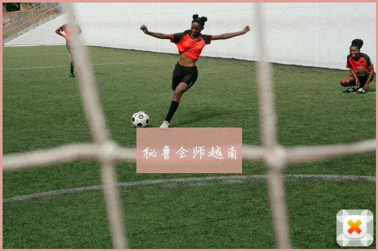 秘鲁会师越南