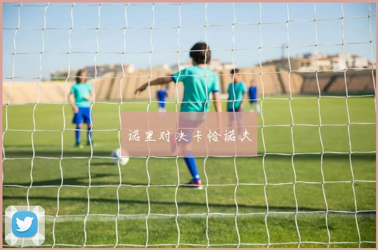 诺里对决卡恰诺夫