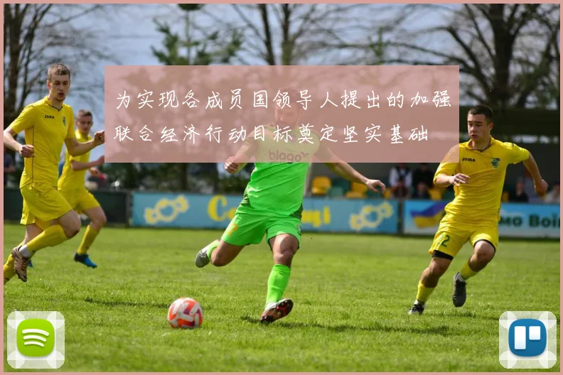 为实现各成员国领导人提出的加强联合经济行动目标奠定坚实基础