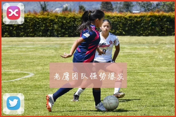 老鹰团队强势爆发