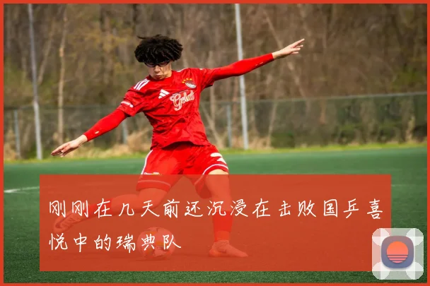 刚刚在几天前还沉浸在击败国乒喜悦中的瑞典队
