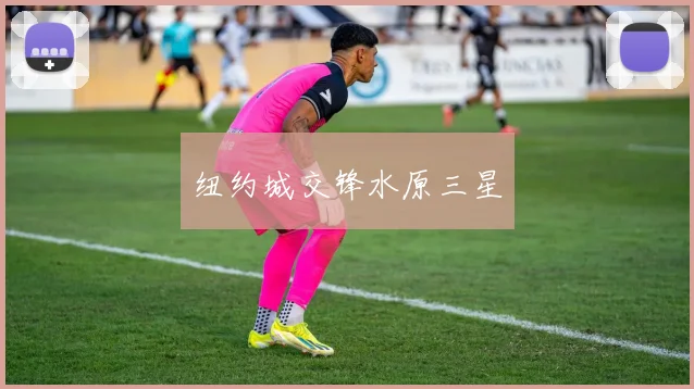 纽约城交锋水原三星