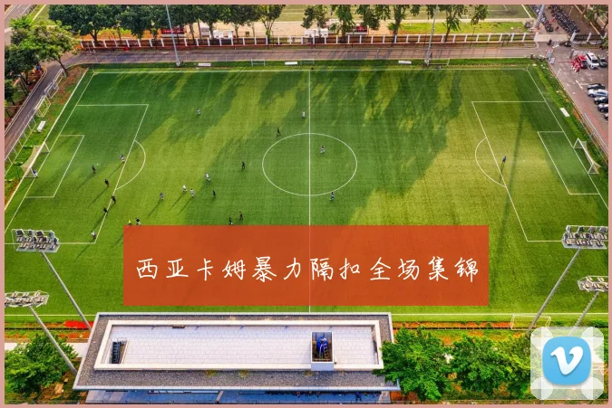 西亚卡姆暴力隔扣全场集锦