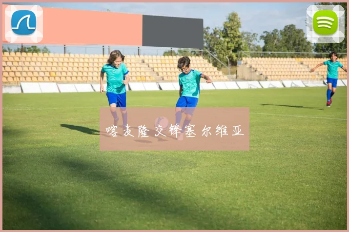 喀麦隆交锋塞尔维亚