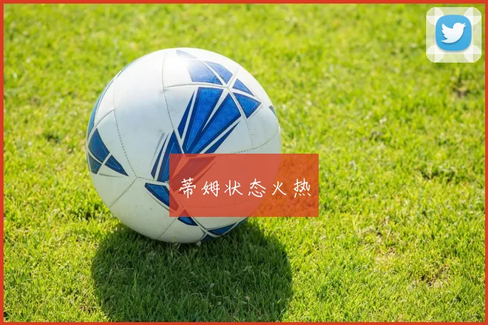 蒂姆状态火热