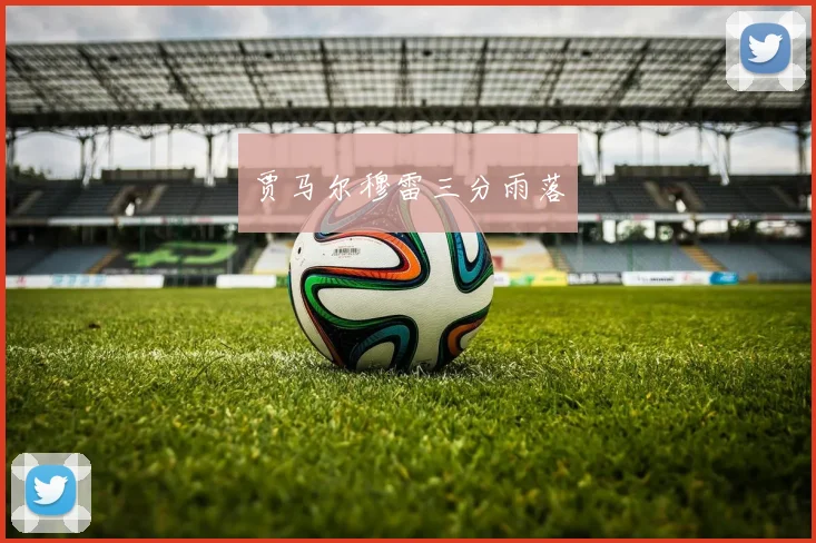 贾马尔穆雷三分雨落