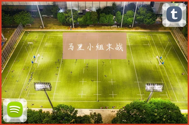 马里小组末战