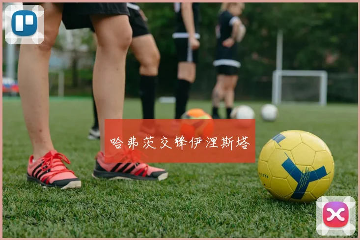 哈弗茨交锋伊涅斯塔