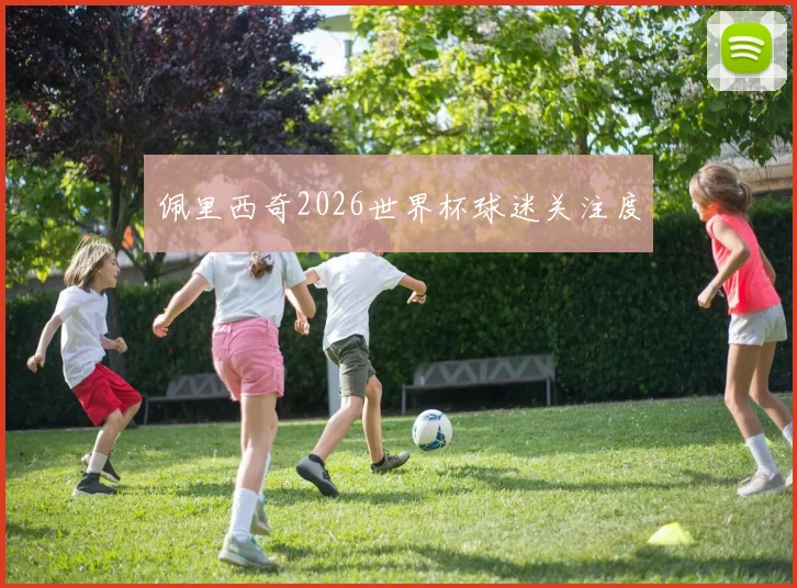 佩里西奇2026世界杯球迷关注度