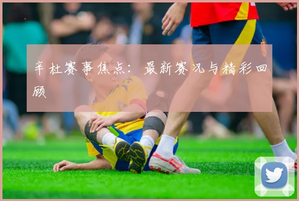 辛杜赛事焦点：最新赛况与精彩回顾