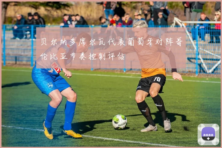 贝尔纳多席尔瓦代表葡萄牙对阵哥伦比亚节奏控制评估