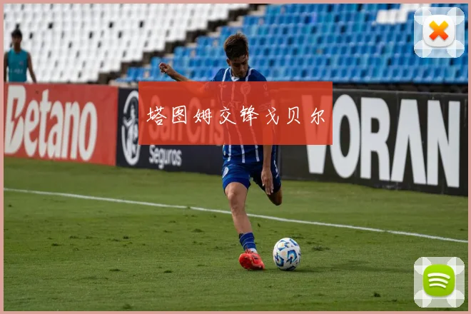 塔图姆交锋戈贝尔