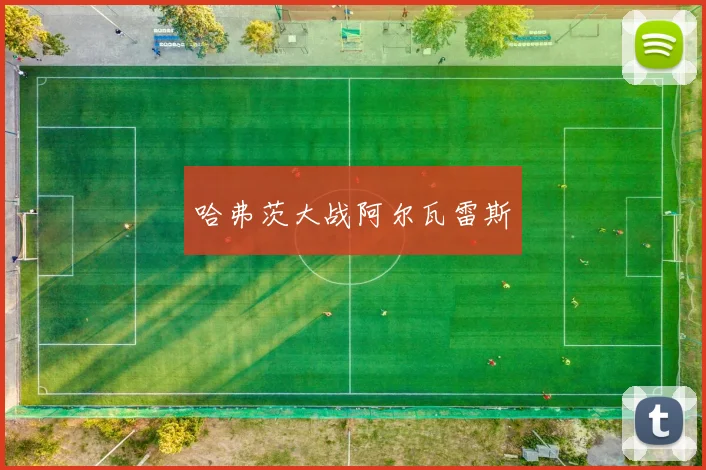 哈弗茨大战阿尔瓦雷斯