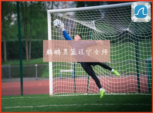 鹈鹕男篮辽宁会师