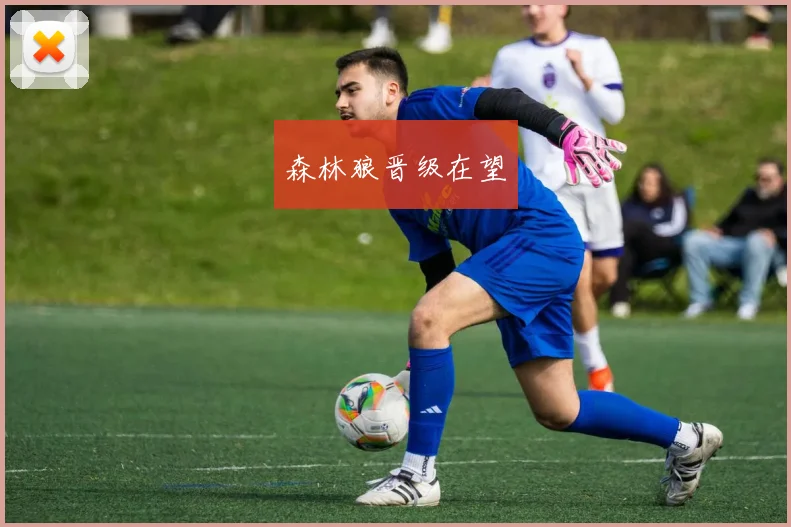 森林狼晋级在望