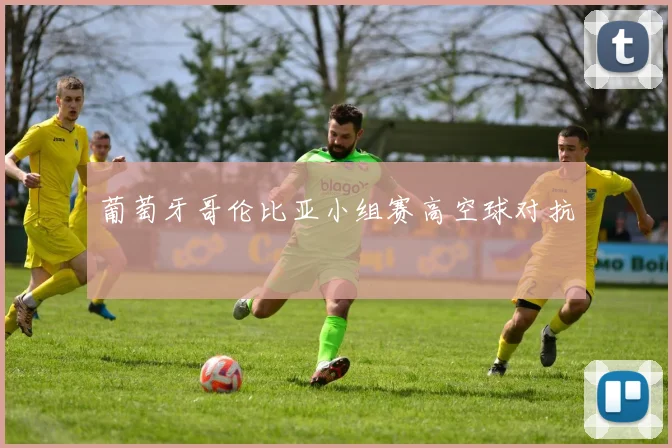 葡萄牙哥伦比亚小组赛高空球对抗